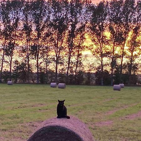 Ferienwohnung Kompass Nahe Der Ostsee Im Gruenen Бад Доберан Екстериор снимка