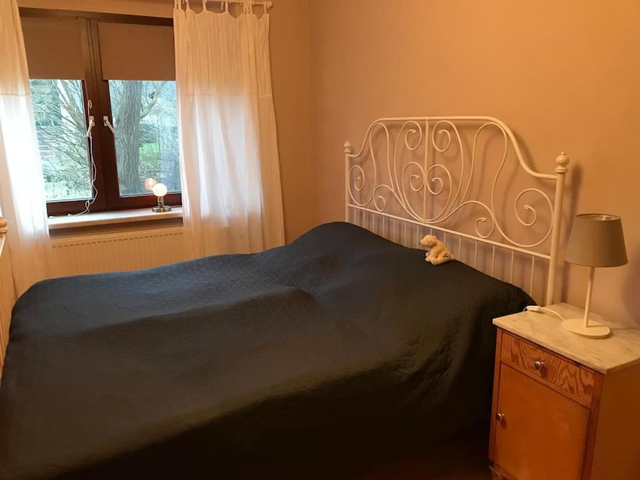 Ferienwohnung Kompass Nahe Der Ostsee Im Gruenen Бад Доберан Екстериор снимка