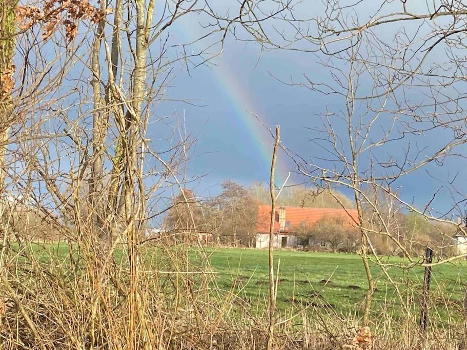 Ferienwohnung Kompass Nahe Der Ostsee Im Gruenen Бад Доберан Екстериор снимка